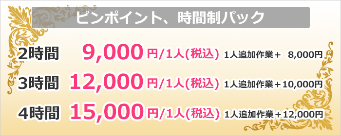 ピンポイント、時間制パック料金